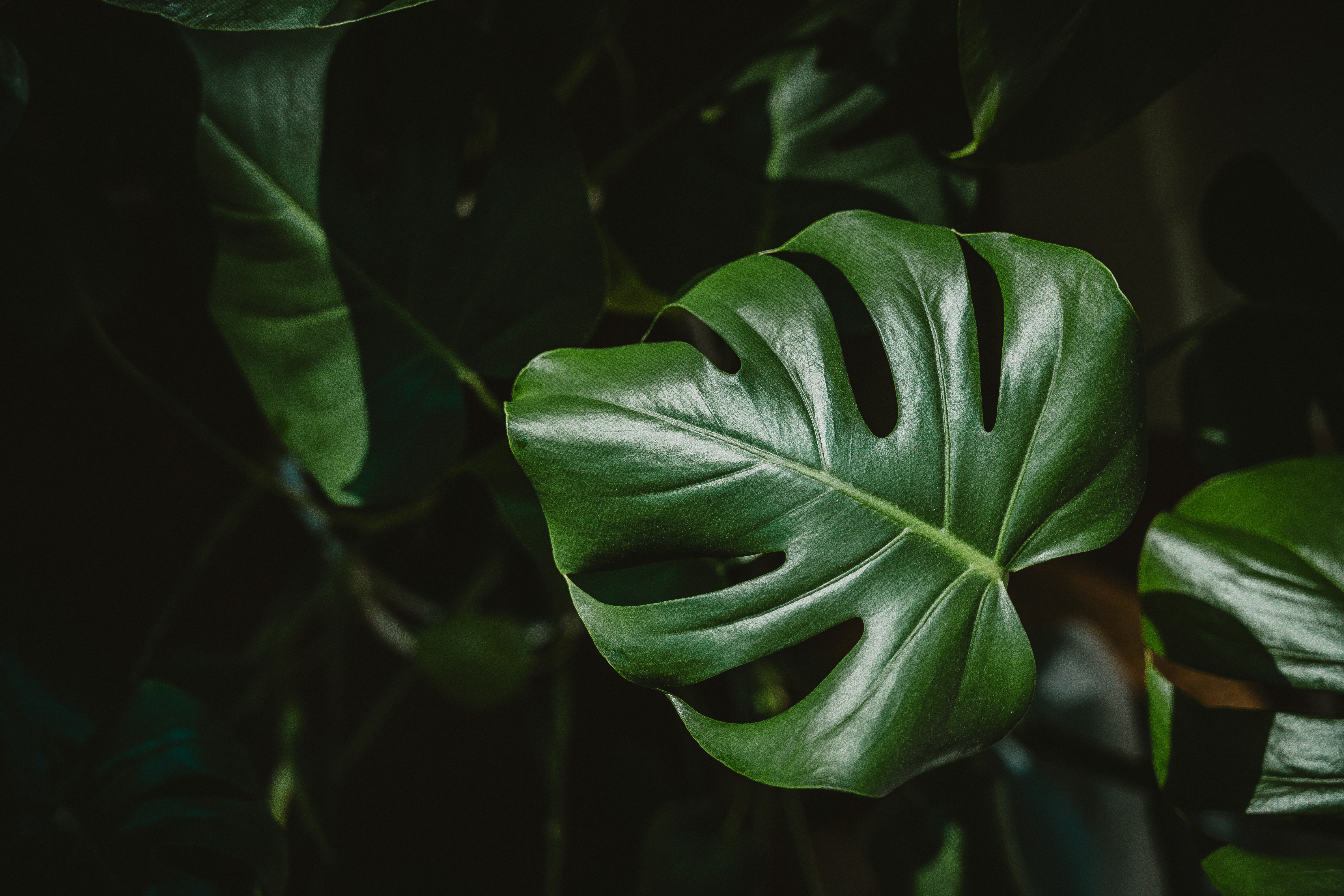 Photo by jaredzacharias