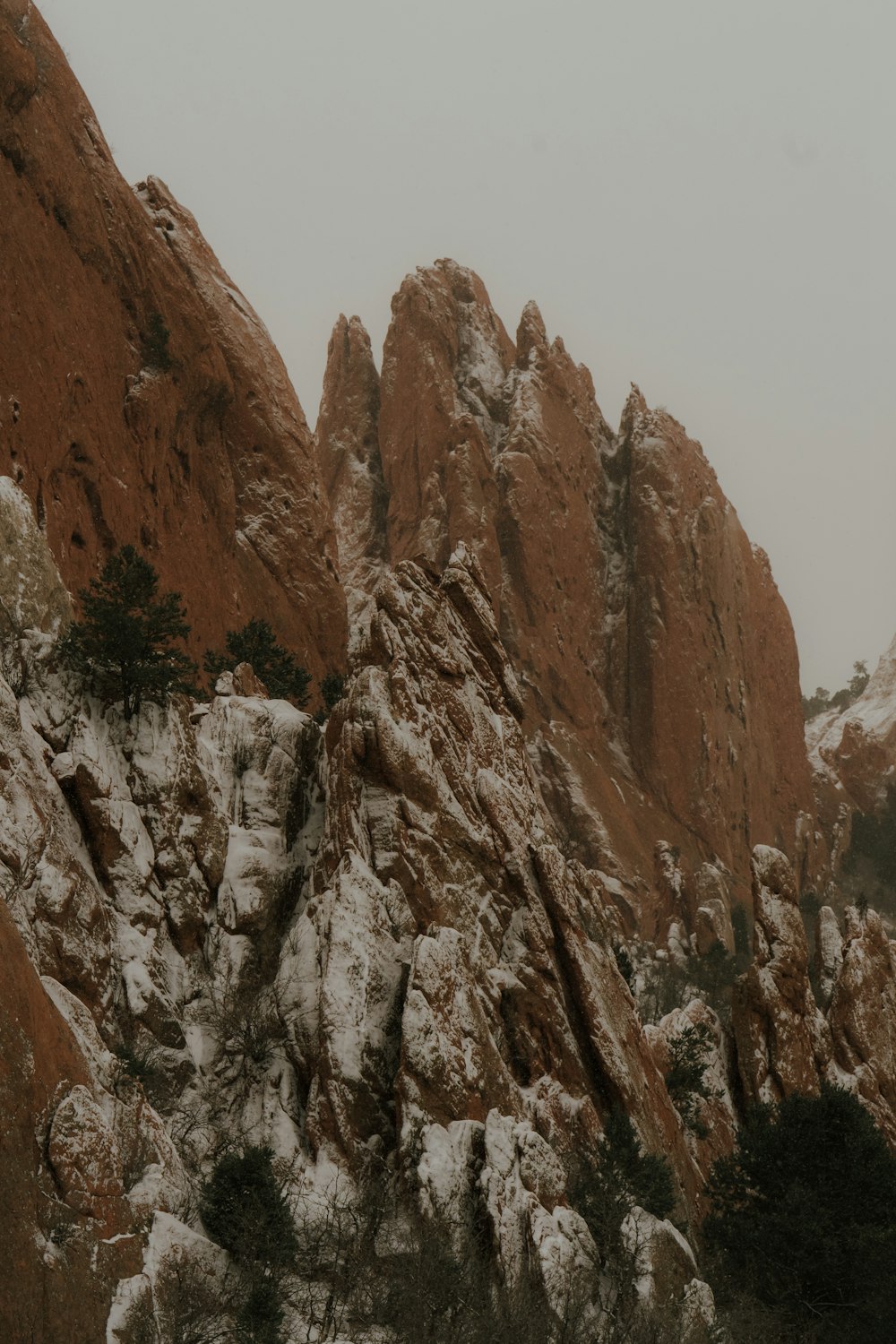 a snow covered mountain side with trees and rocks