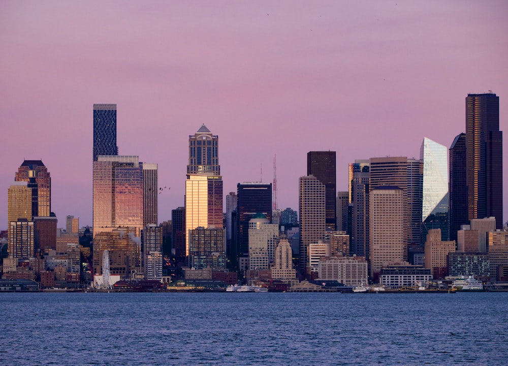 a view of a city skyline from across the water