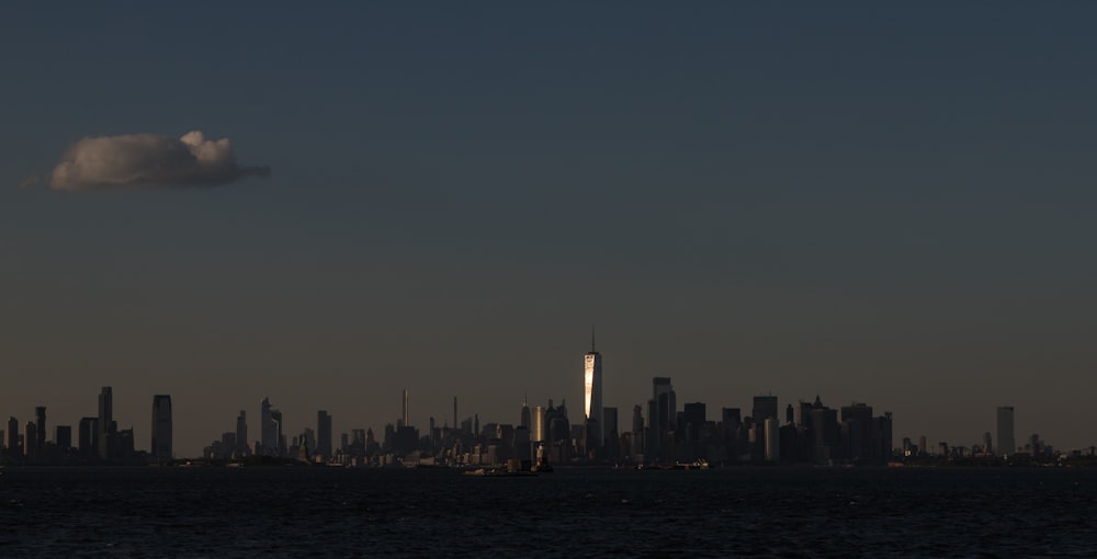 a view of a city skyline from the water