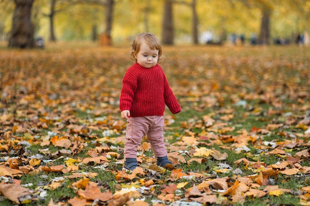 a little girl in a red sweater standing in a field of leaves