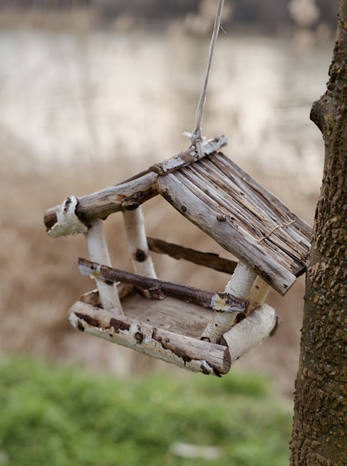 An elegant outdoor bird feeder hanging from a leafy tree branch with birds perched nearby