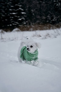Blue Dog Sweater