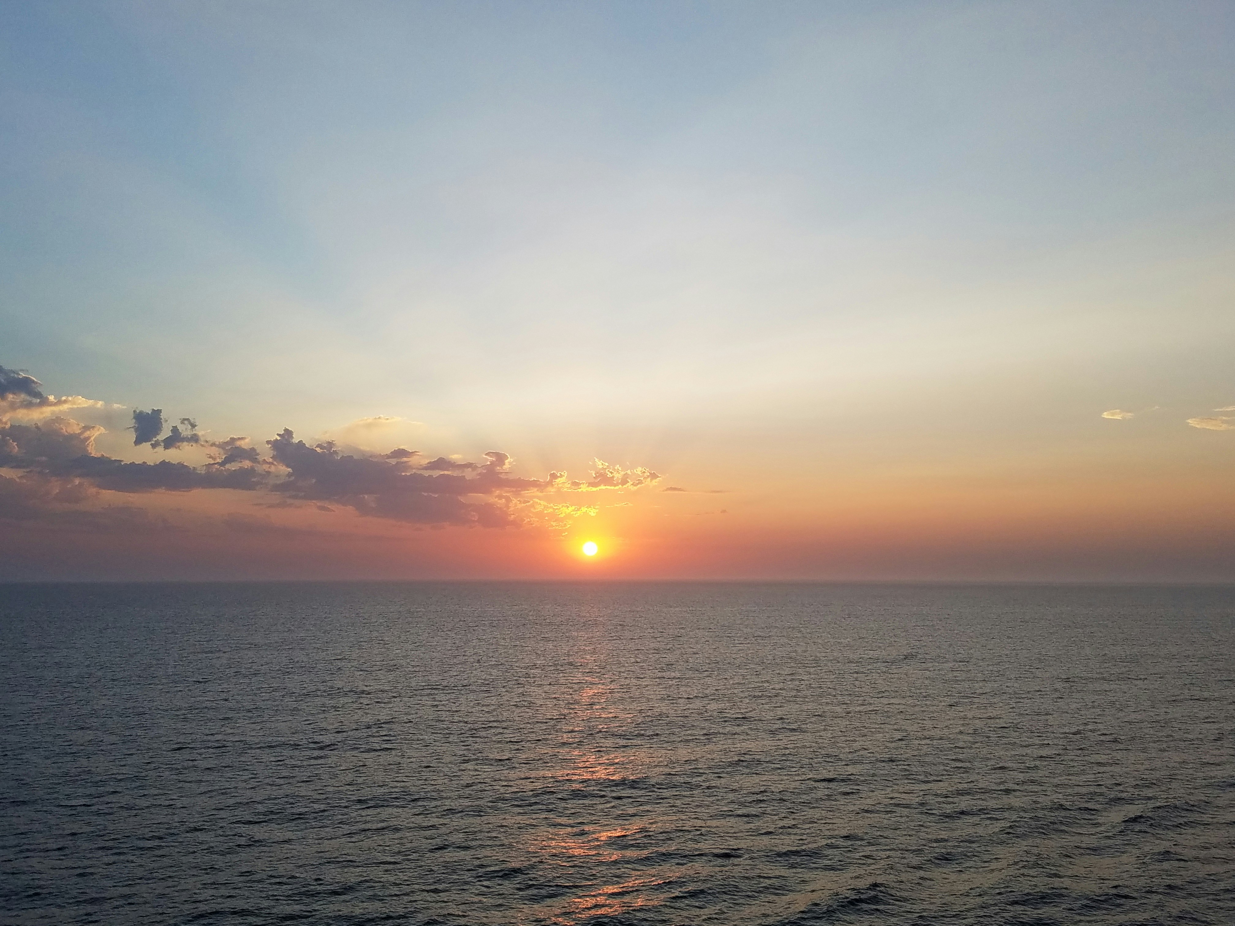 Probiotic Supplements And Mental Health