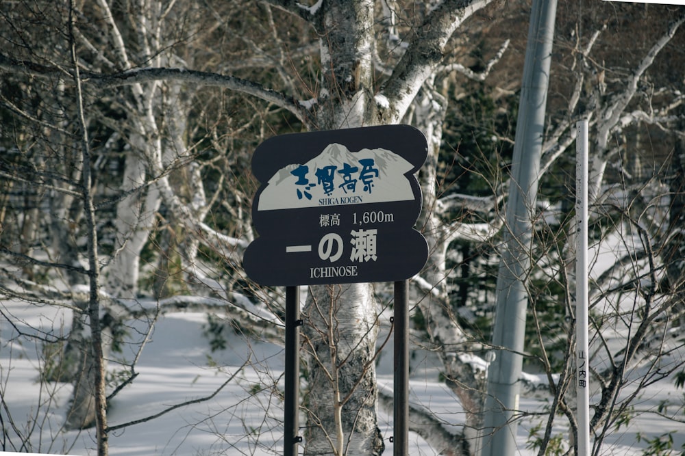 a street sign in a snowy area with trees in the background