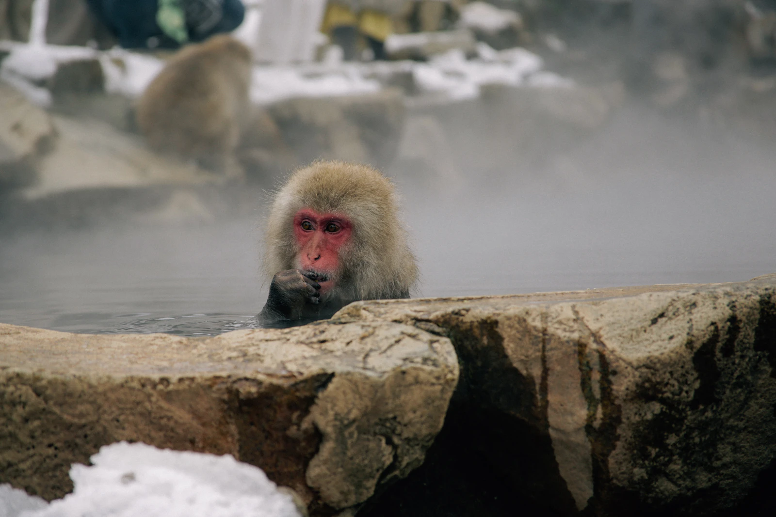 Nagano — photo 3