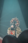 A black coffin adorned with a decorative floral wreath is illuminated by a spotlight. The wreath includes a variety of flowers and greenery, adding an elegant and somber touch. Beneath the coffin, a framed picture of a parrot with vibrant red and orange plumage is visible. The background is a soft blue-green color that adds a calm and ethereal atmosphere.