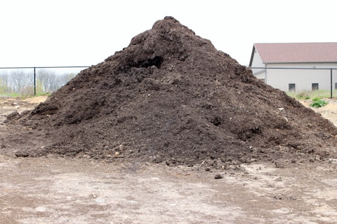 A large pile of dark, rich soil sits on a barren piece of land. In the background, there is a metal fence and a small building with a gabled roof. The ground around the soil mound appears dry and is scattered with small stones and patches of dirt.