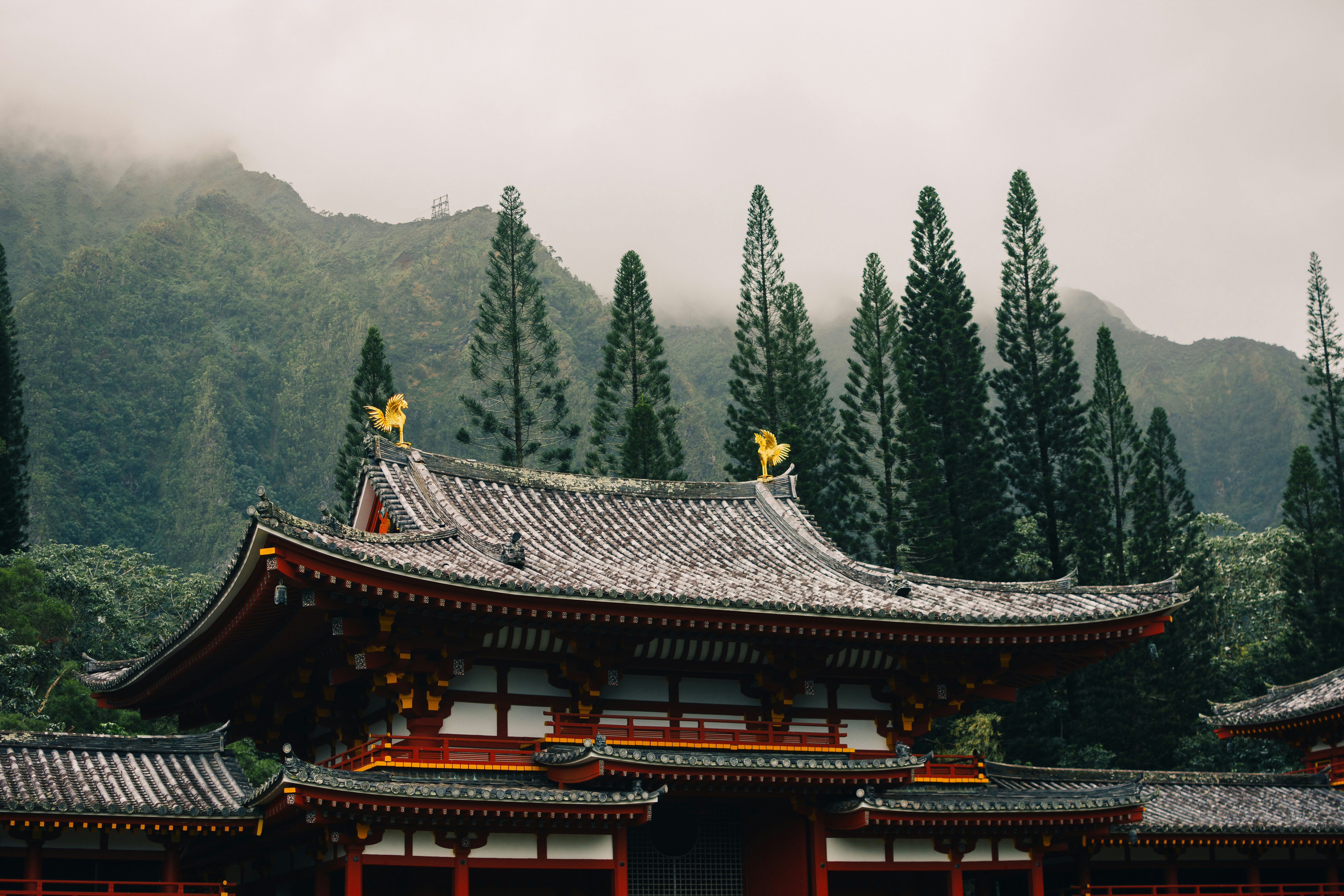 Photo by obviouslyarthur