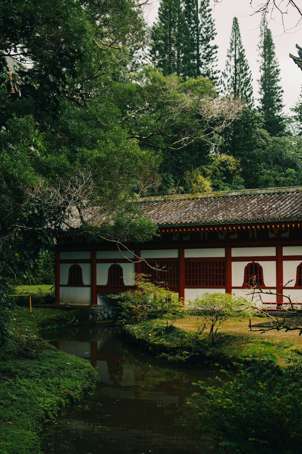 a building with a pond in front of it