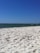 A serene coastal scene with volunteers cleaning the beach under a clear blue sky.