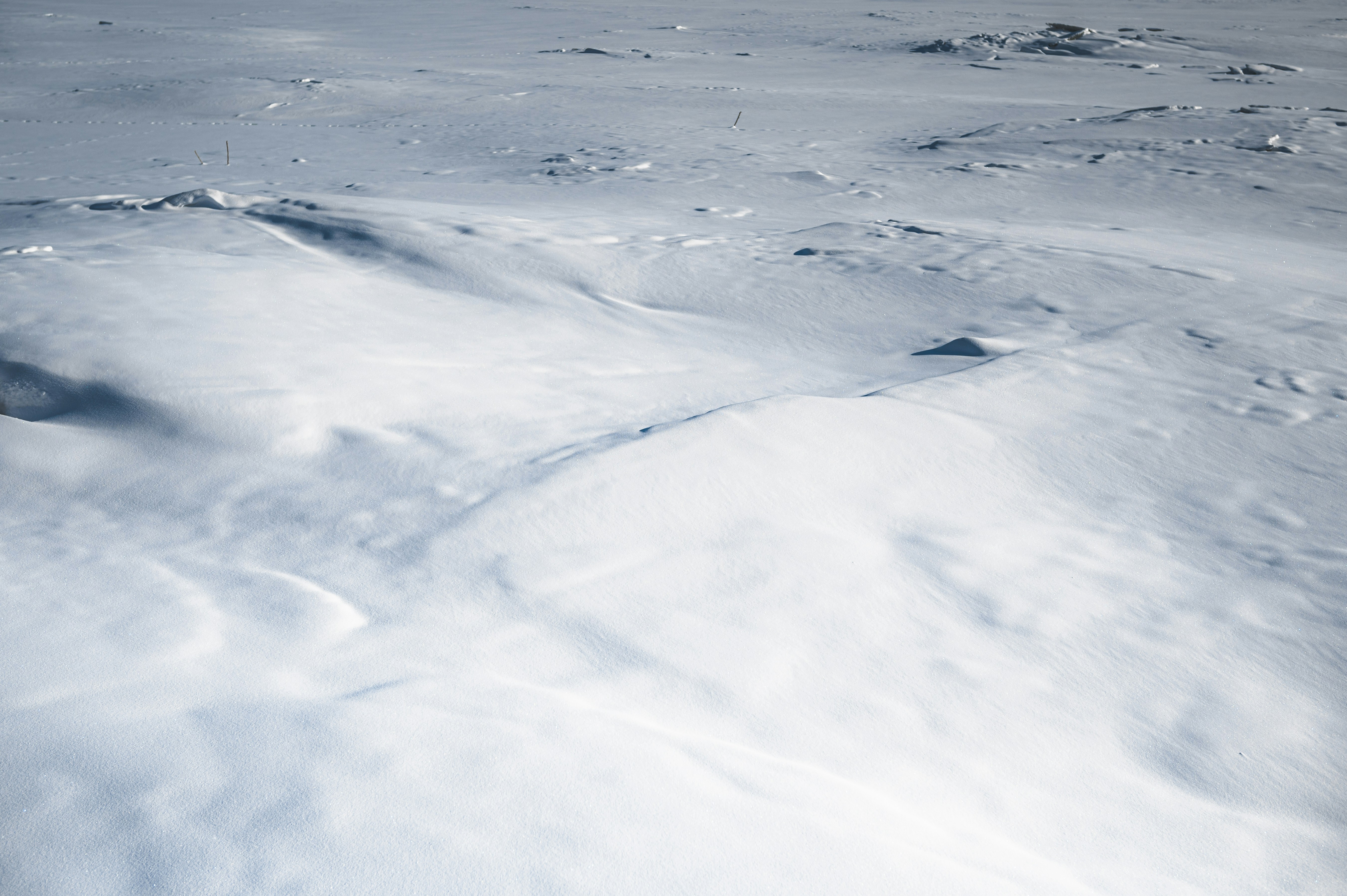 Photo by ryunosuke_kikuno