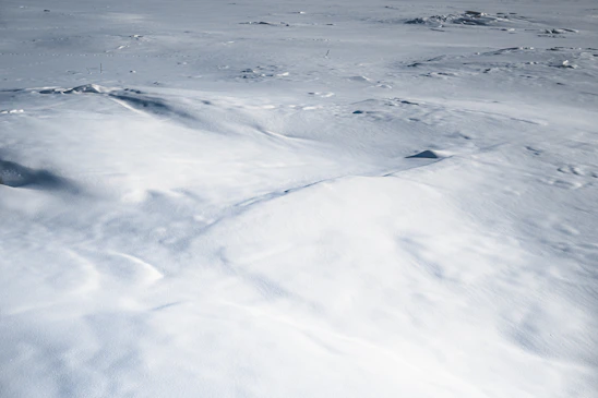 A serene tundra landscape at dawn with soft icy blues and gentle snow textures, inviting calm and reflection.
