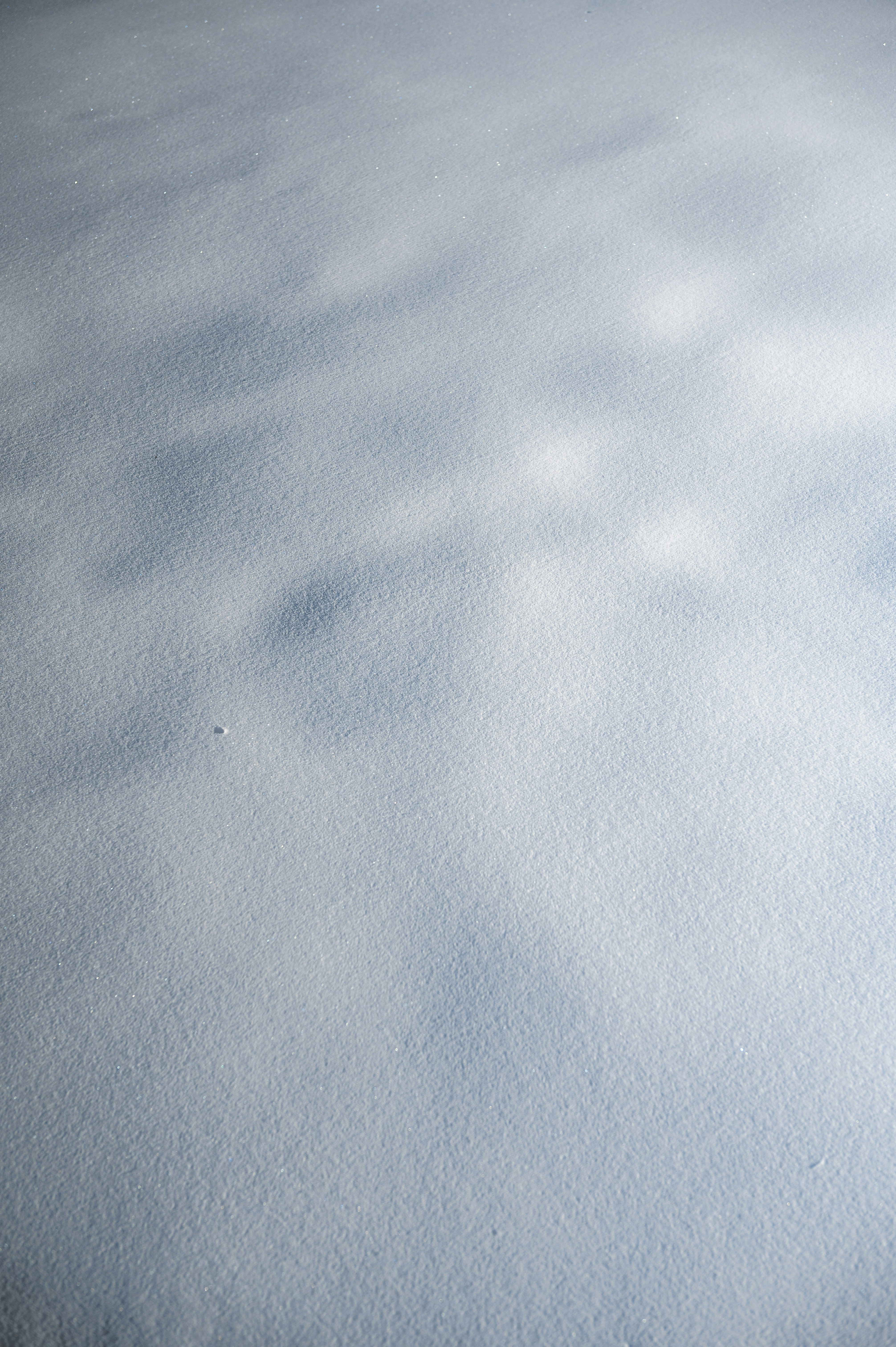 Photo by ryunosuke_kikuno