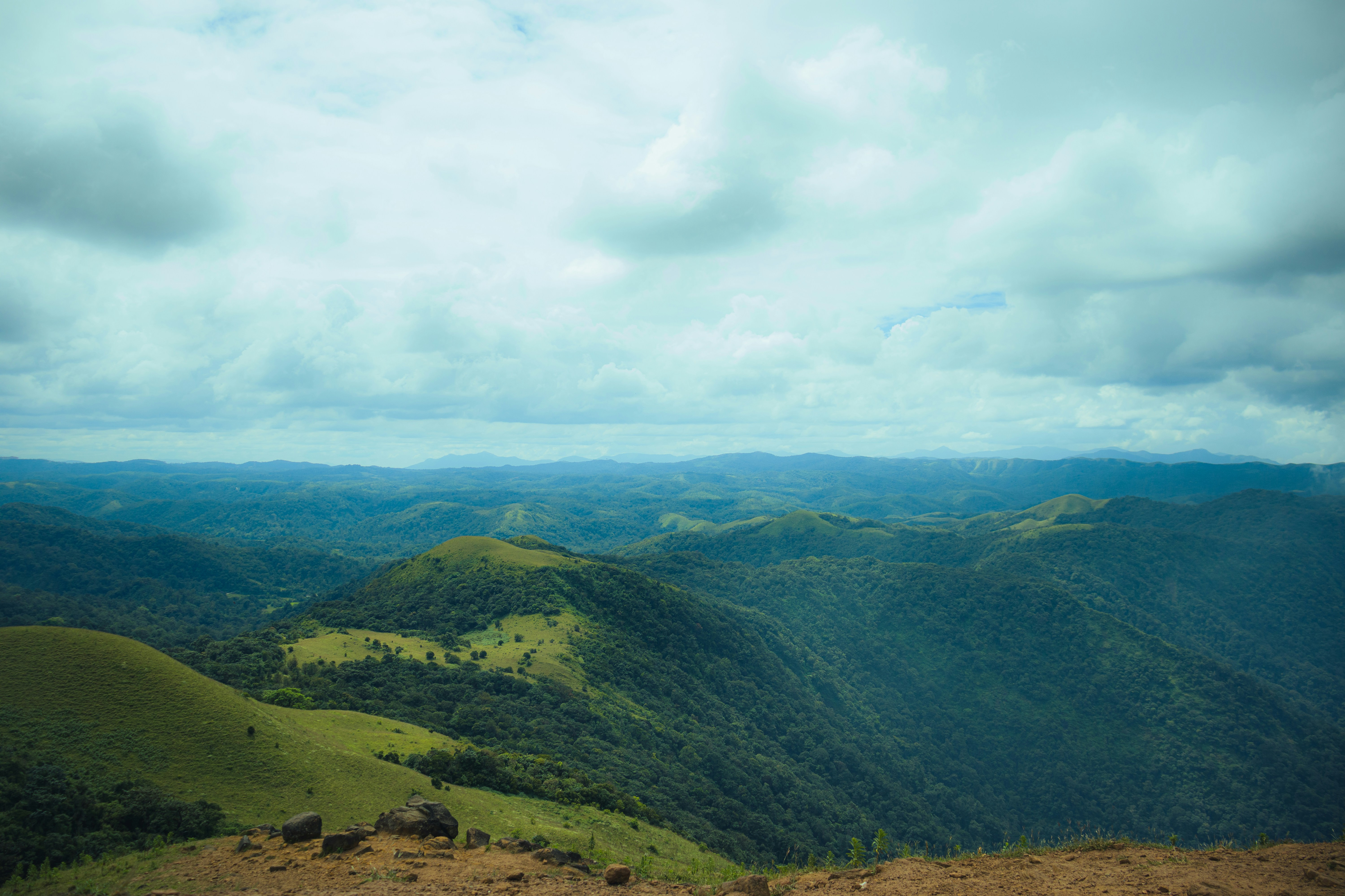 Photo by dhilipantony