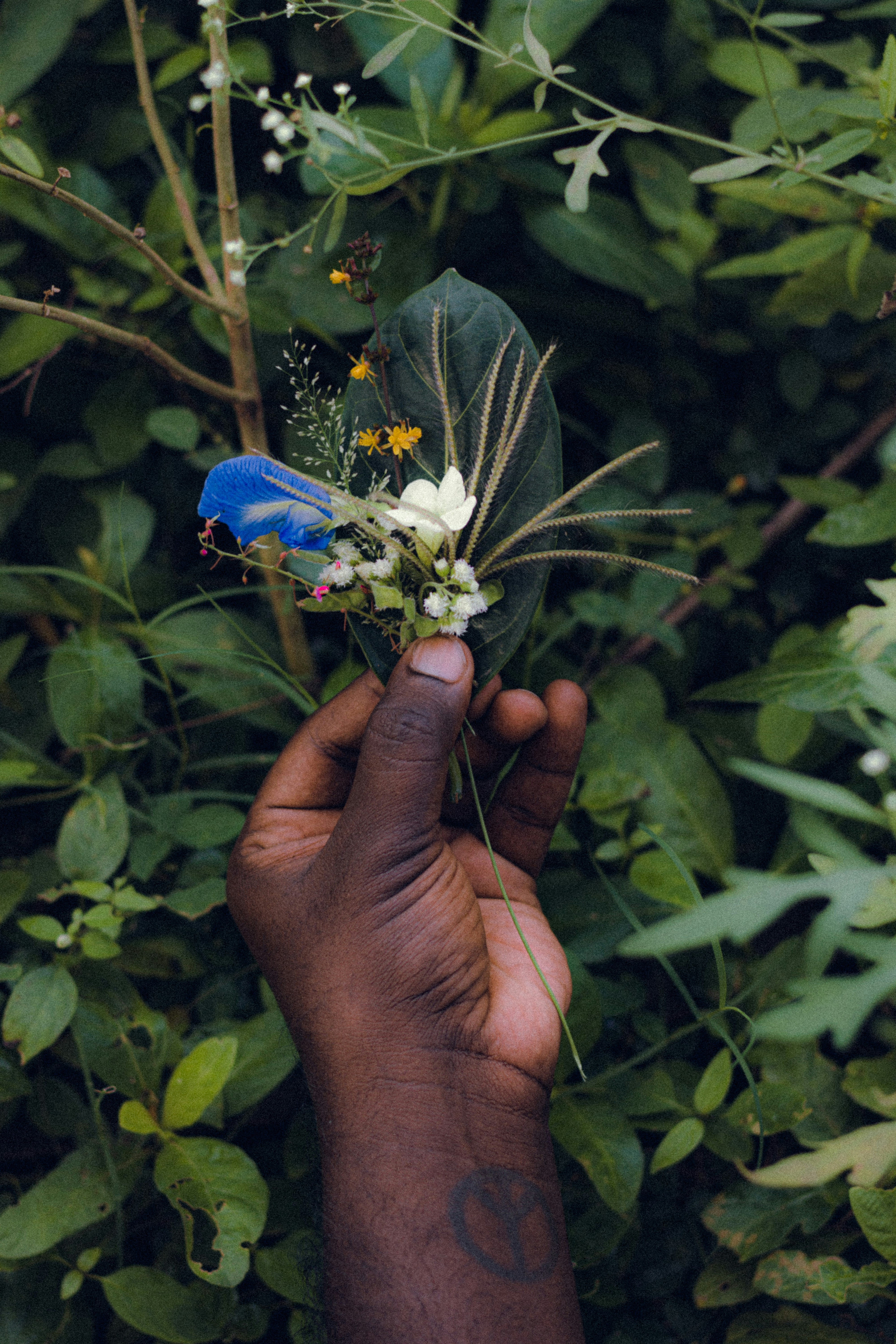 uma pessoa segurando uma flor na mão