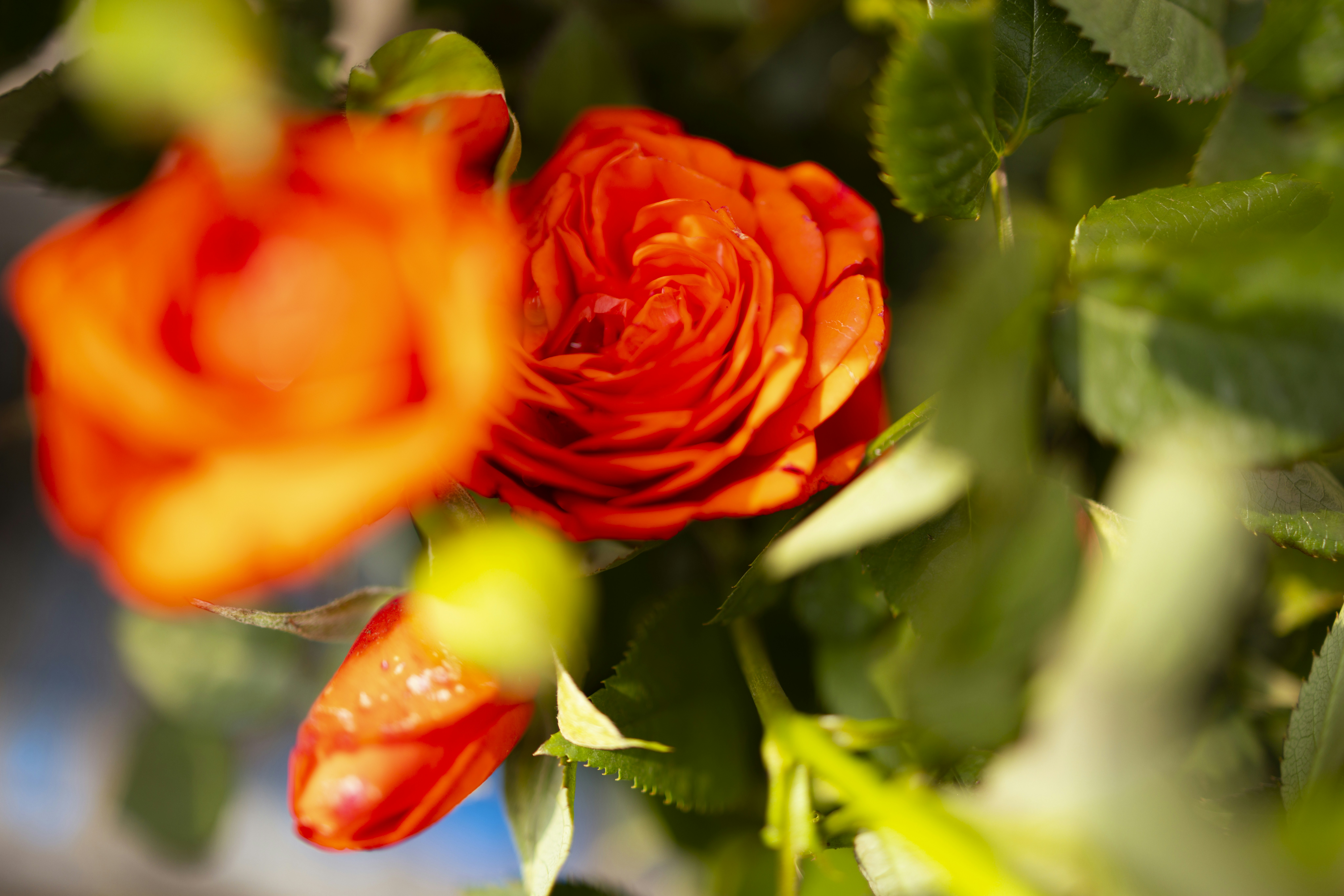 Photo by arttoinspire