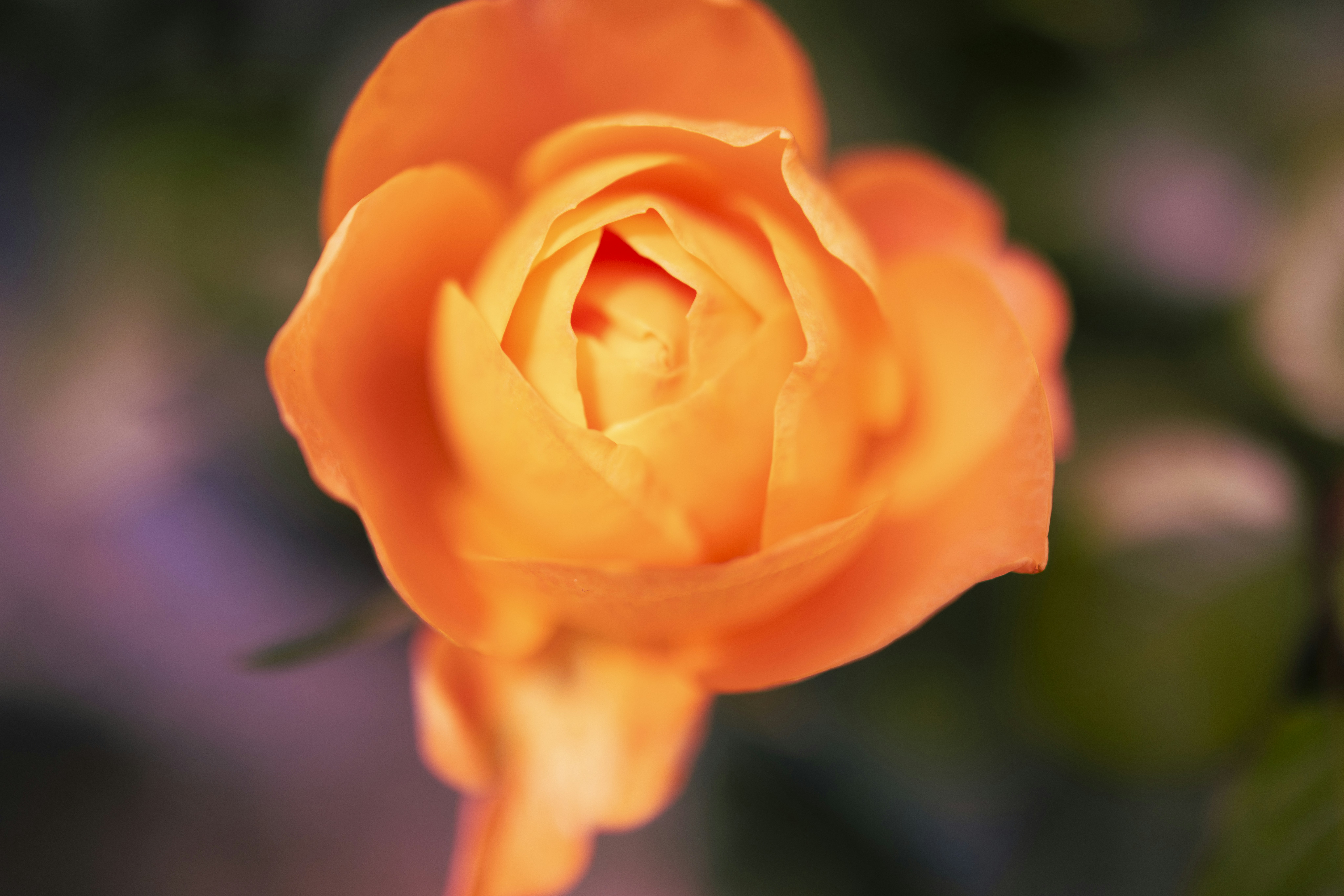 Photo by arttoinspire