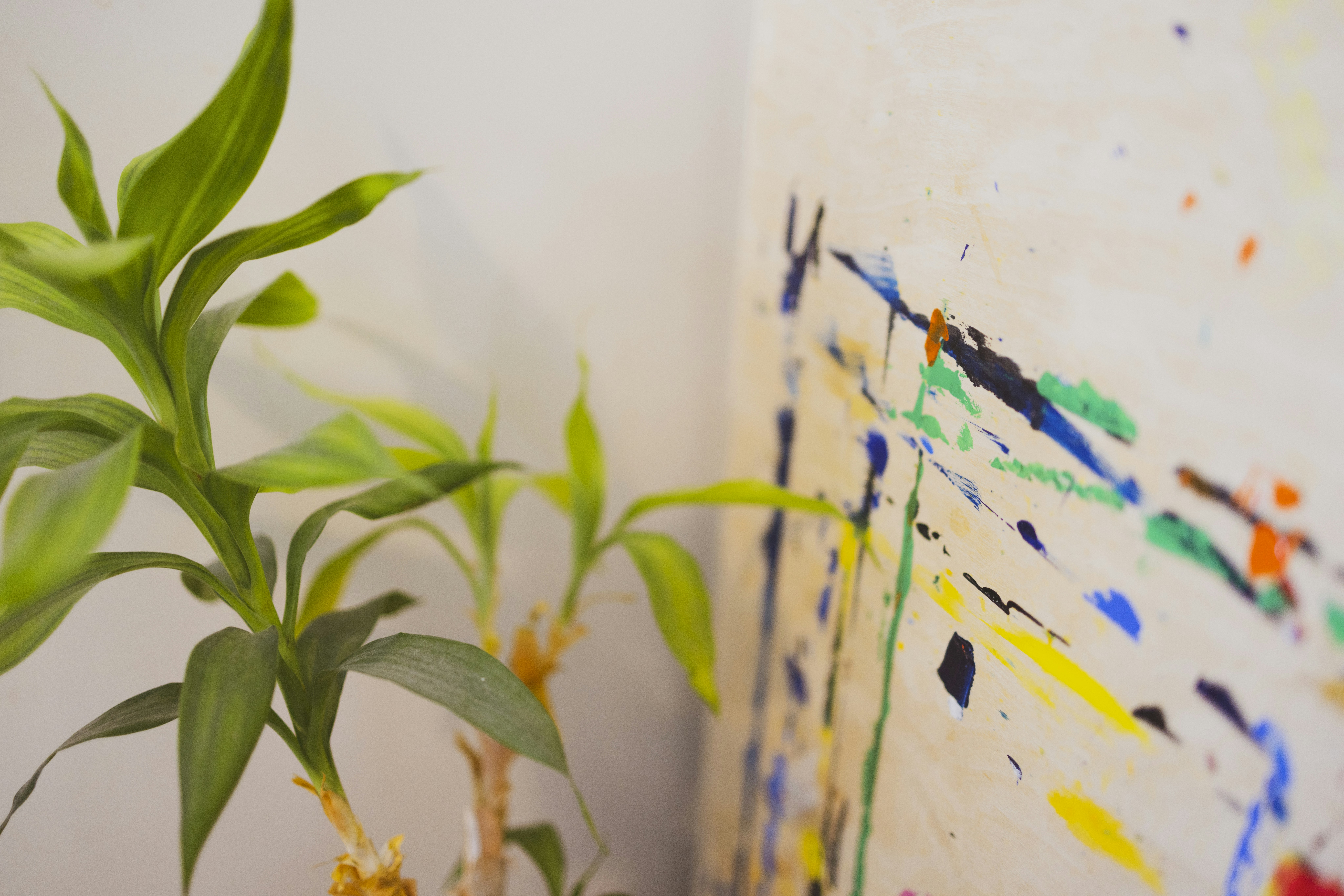 Photo by arttoinspire