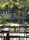 A peaceful outdoor area with plants and relaxation seating.