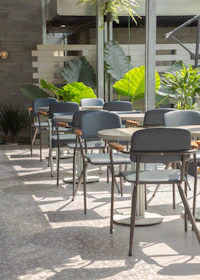 Outdoor seating area of horizoncoffee with green plants and soft natural light.