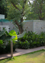 A lush, professionally landscaped garden with winding stone paths and vibrant greenery under soft natural light.