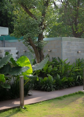 A serene modern garden with lush greenery and elegant landscaping under soft natural light.