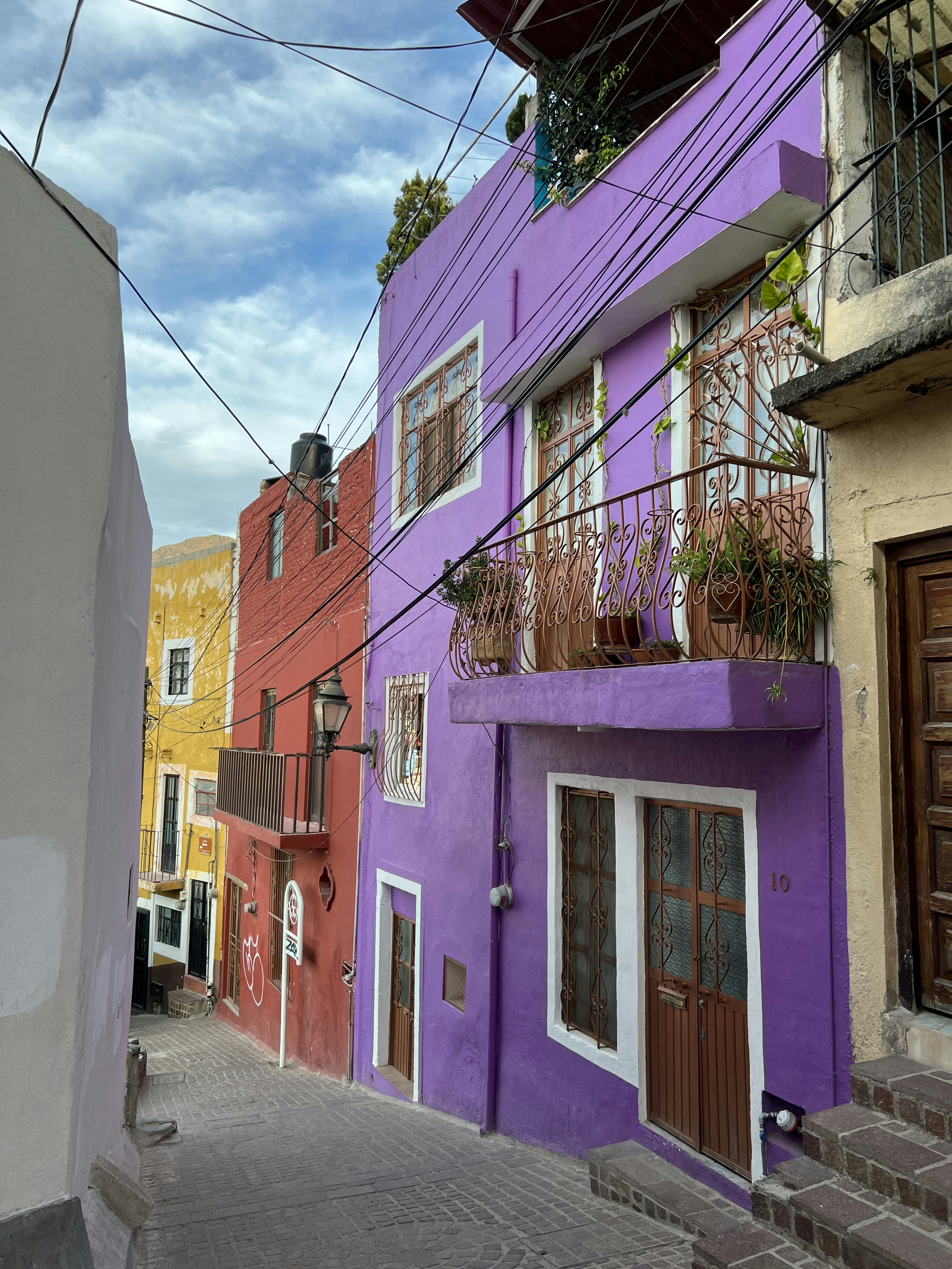 Photo by rindertschutten