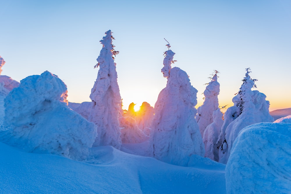 the sun is setting in the distance behind some snow covered trees