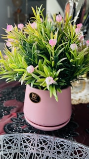 A pink ceramic pot filled with lush, green foliage and small pink flowers is placed on a decorative surface. The pot has a gold label, adding a touch of elegance. The arrangement sits on a table with a lace-like or woven tablecloth pattern visible beneath.