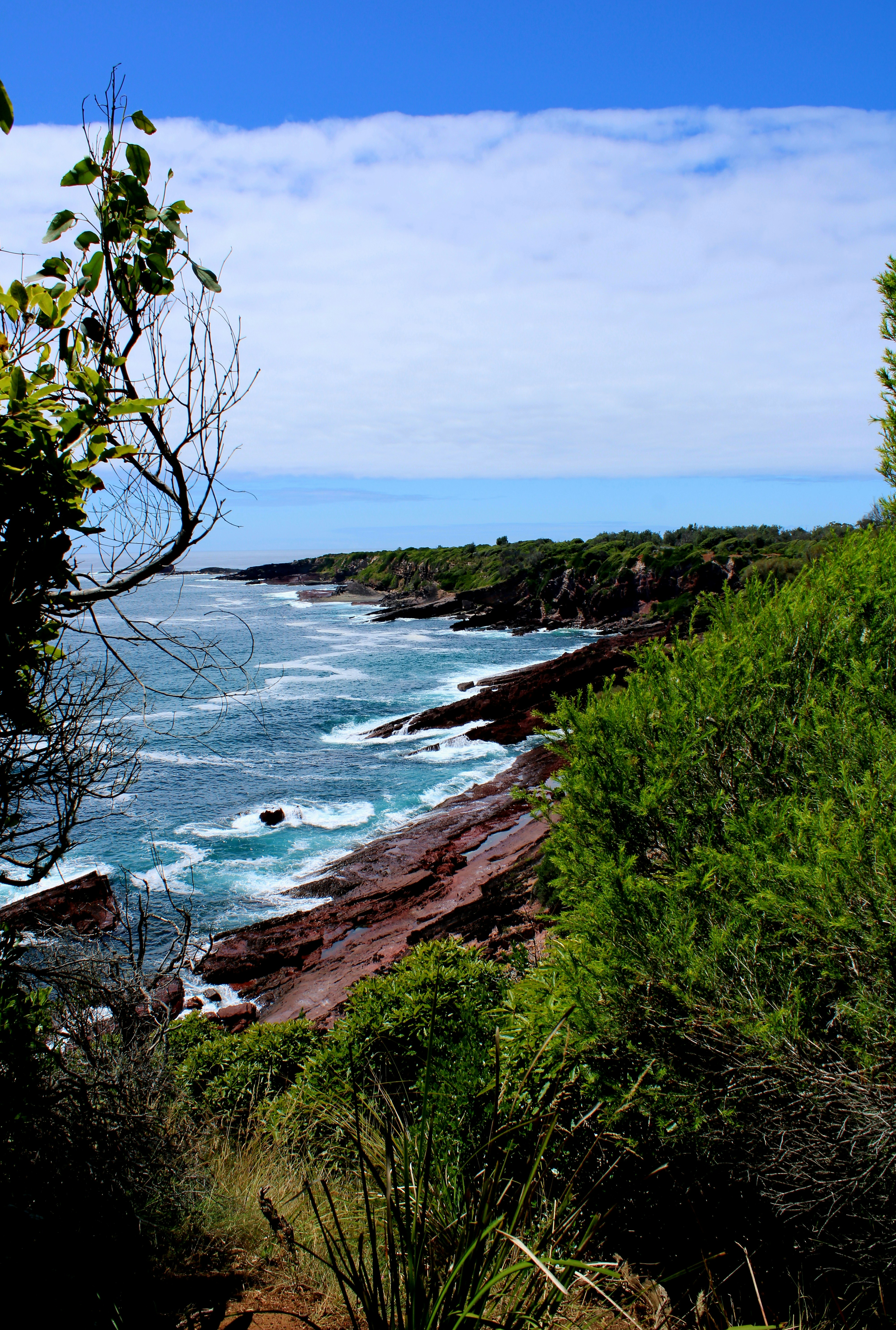 Photo by olivia_hibbins