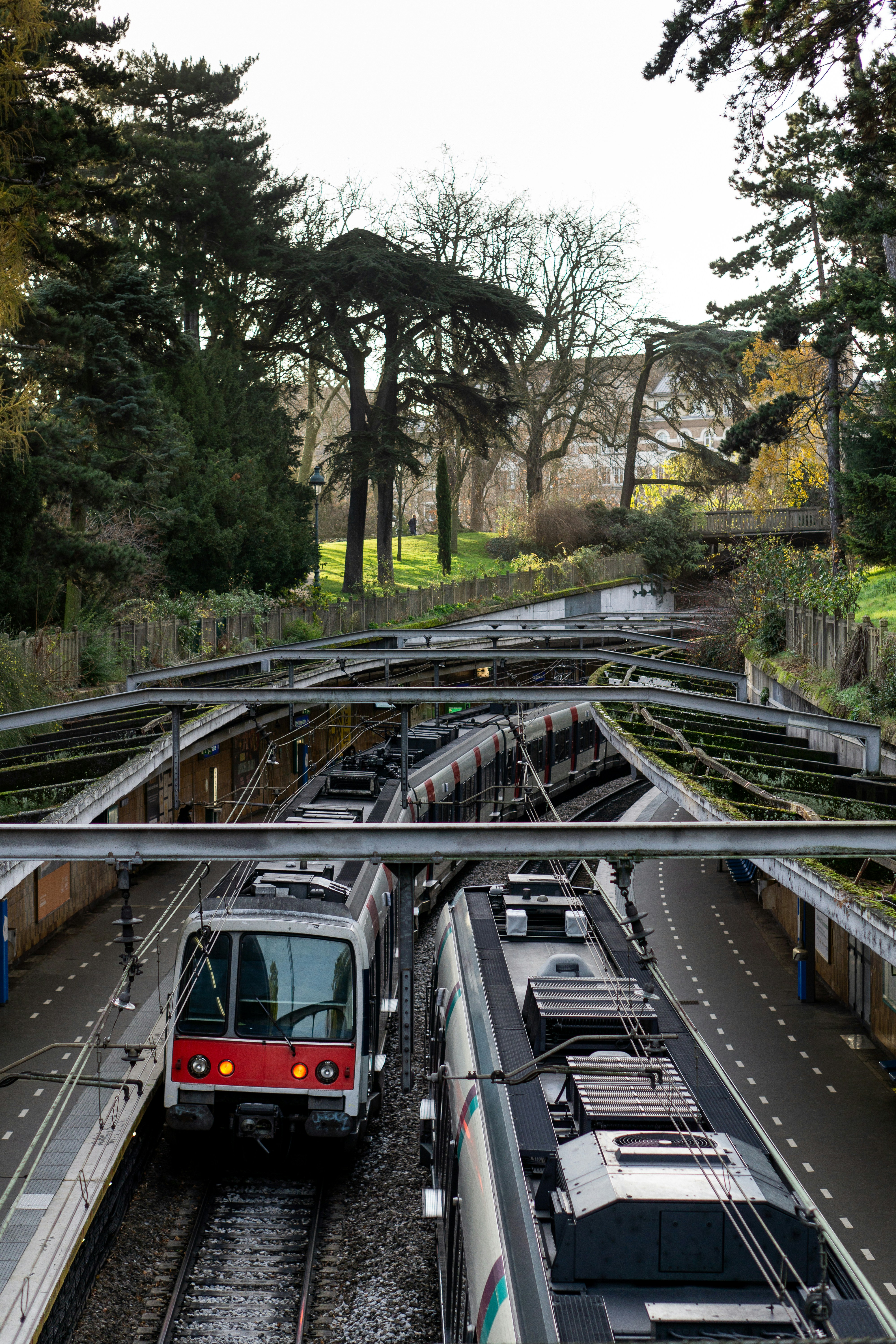 a train traveling down train tracks next to a forest