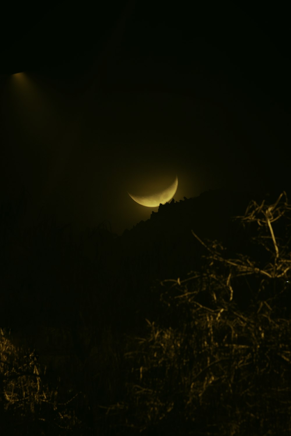 a couple of eclipses are seen in the night sky