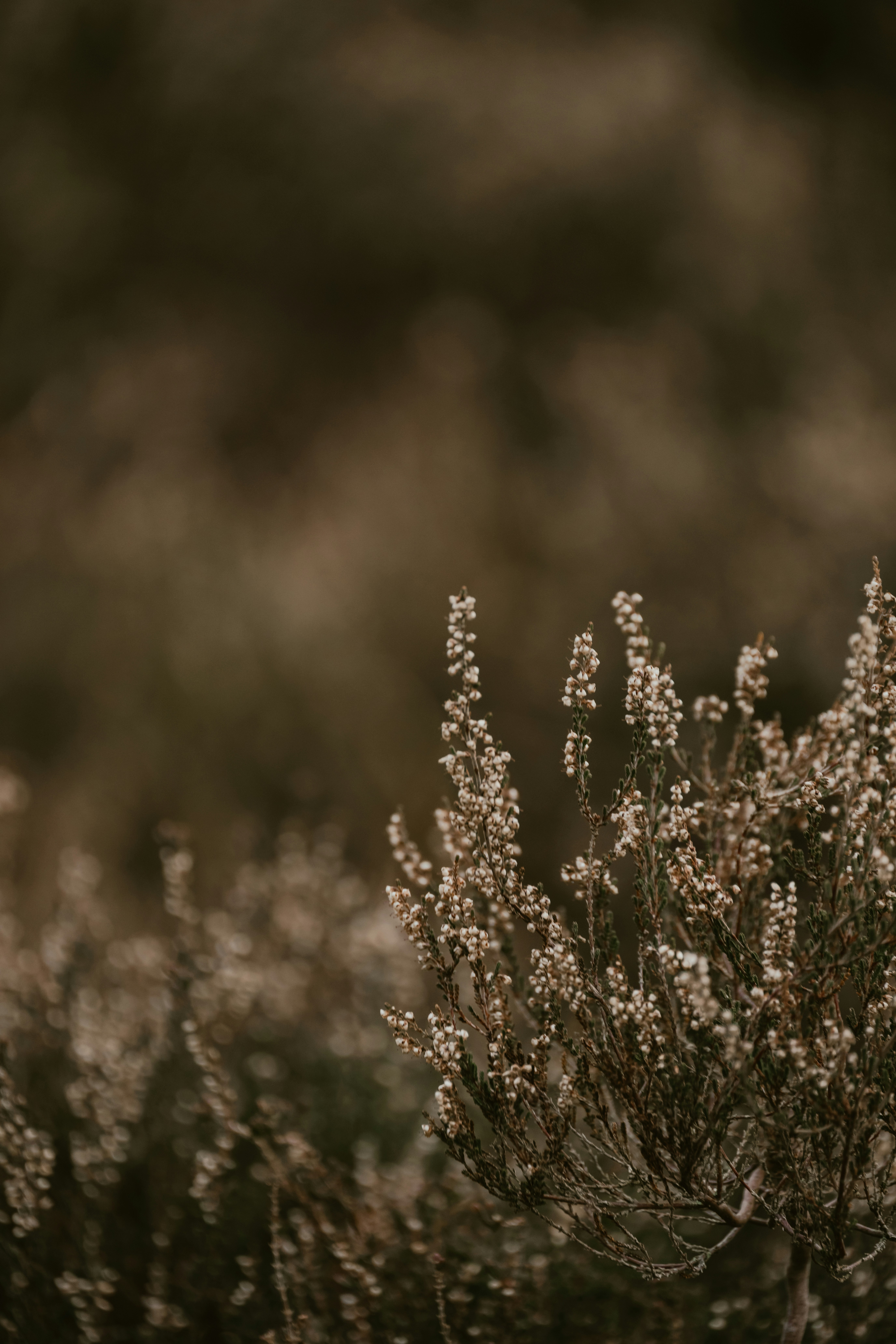 Photo by anniespratt