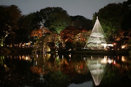 A serene tree in a garden lit by delicate projection art blending nature with digital light.