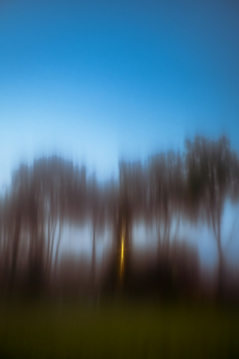 a blurry photo of trees and a street light