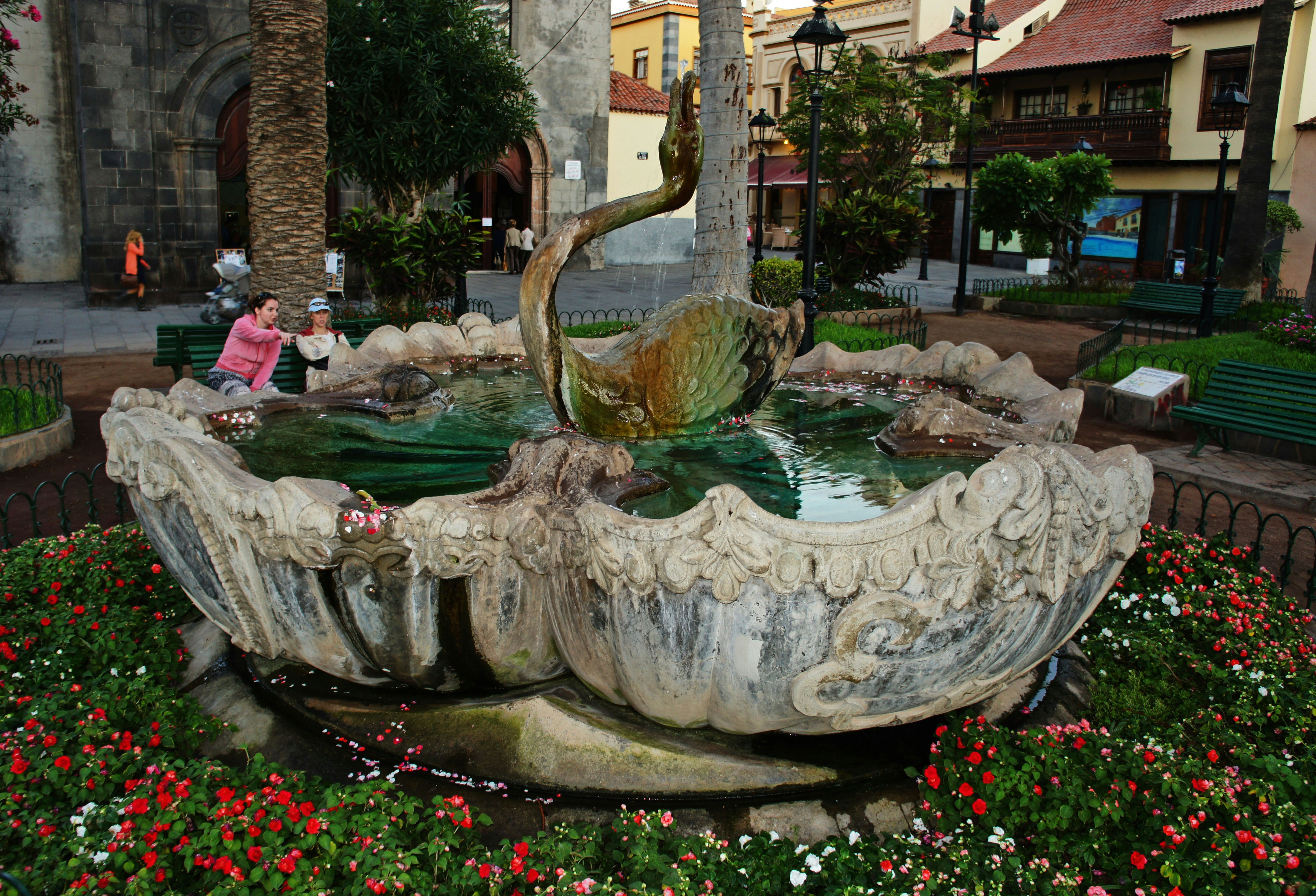 Pond