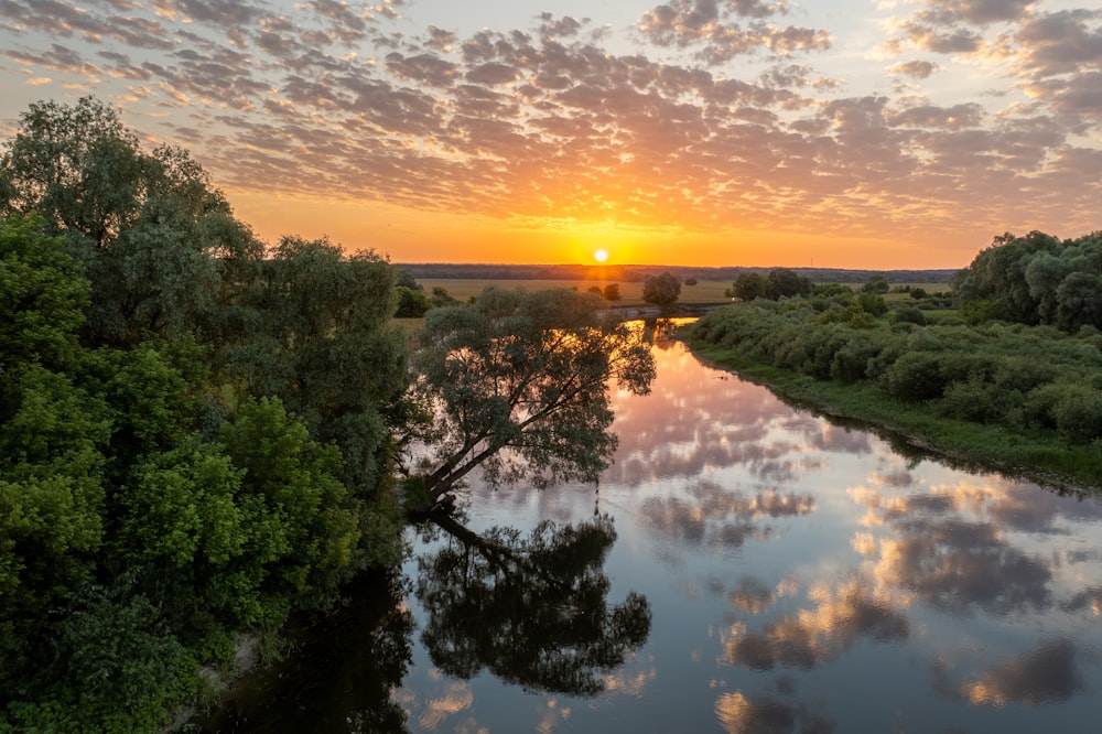 the sun is setting over a river with a tree in the foreground