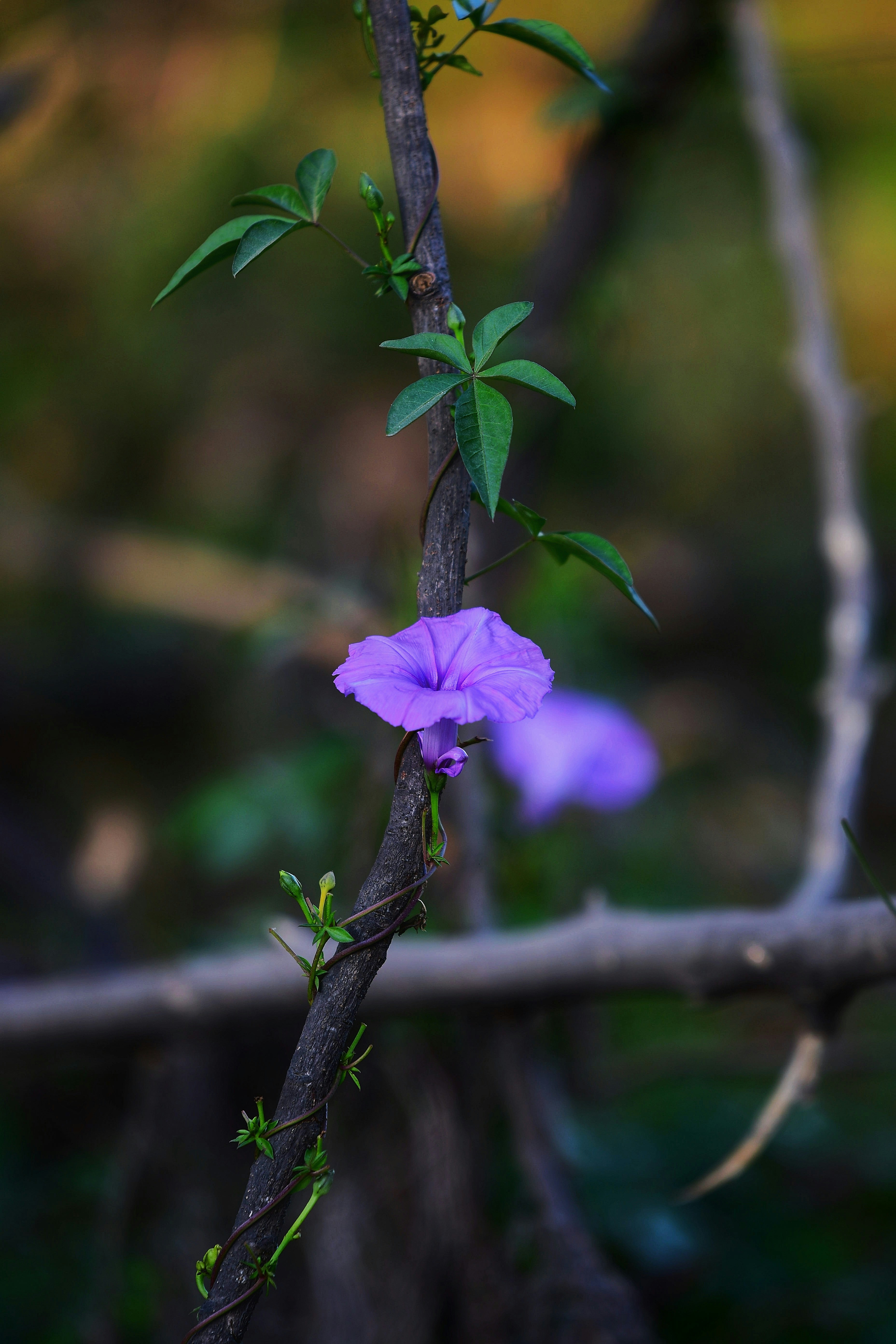 Photo by sau81k