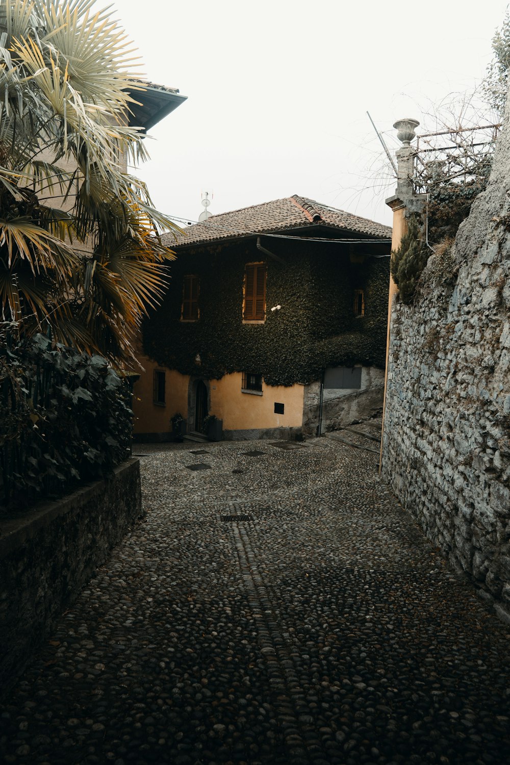 an alley way with a stone building and palm trees