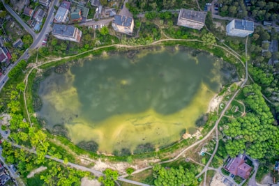 An aerial view of a large, oval-shaped pond surrounded by greenery and a mix of residential buildings. Pathways encircle the pond, and trees densely populate the surrounding areas. The pond water is murky with patches of algae. Several buildings and roads border the pond on one side.