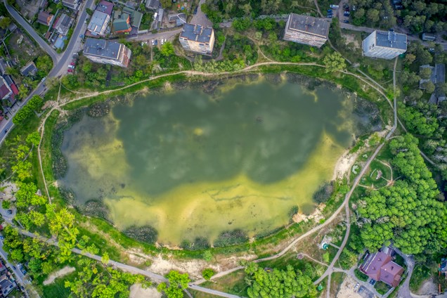 An aerial view of a large, oval-shaped pond surrounded by greenery and a mix of residential buildings. Pathways encircle the pond, and trees densely populate the surrounding areas. The pond water is murky with patches of algae. Several buildings and roads border the pond on one side.