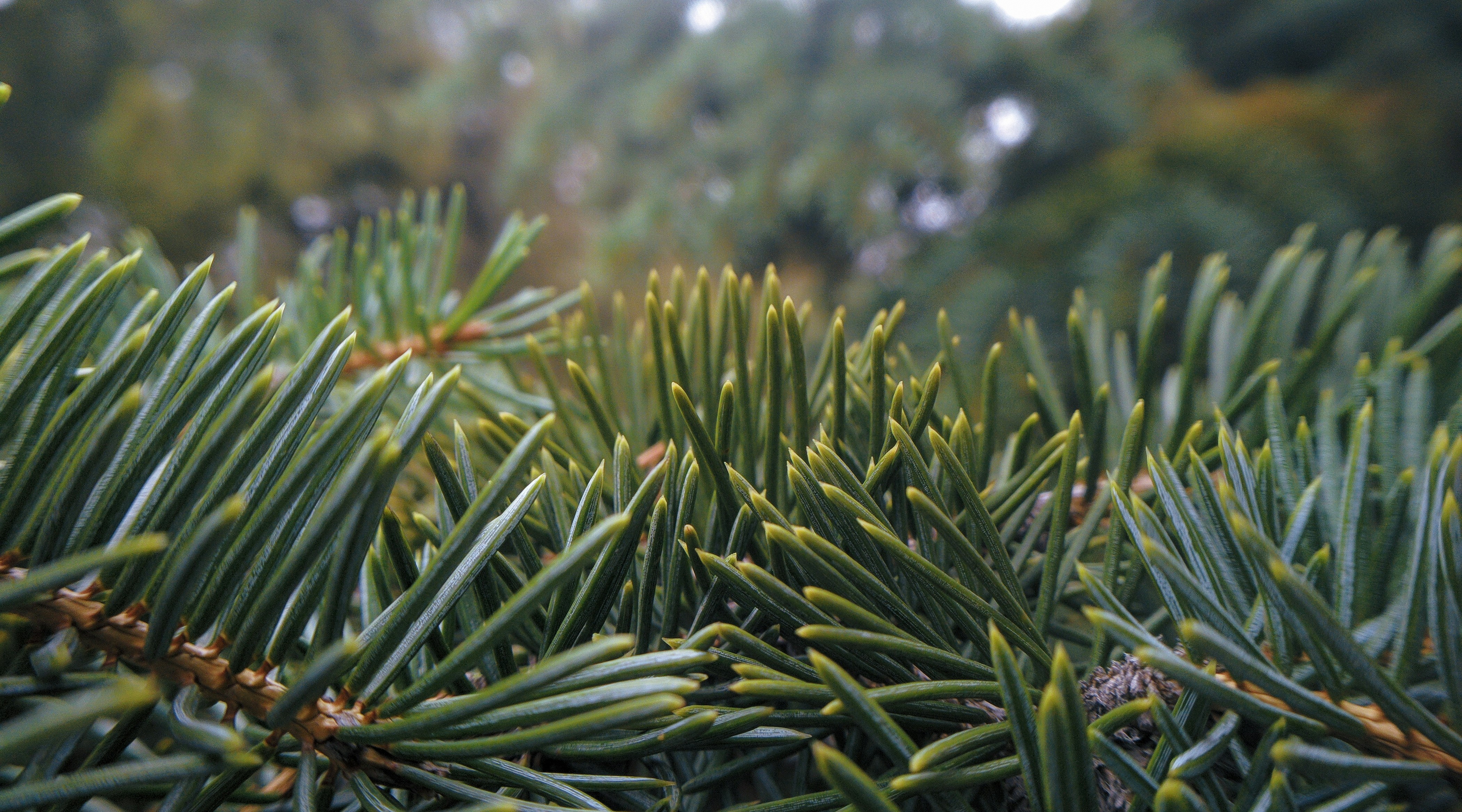 Photo by mattesensei