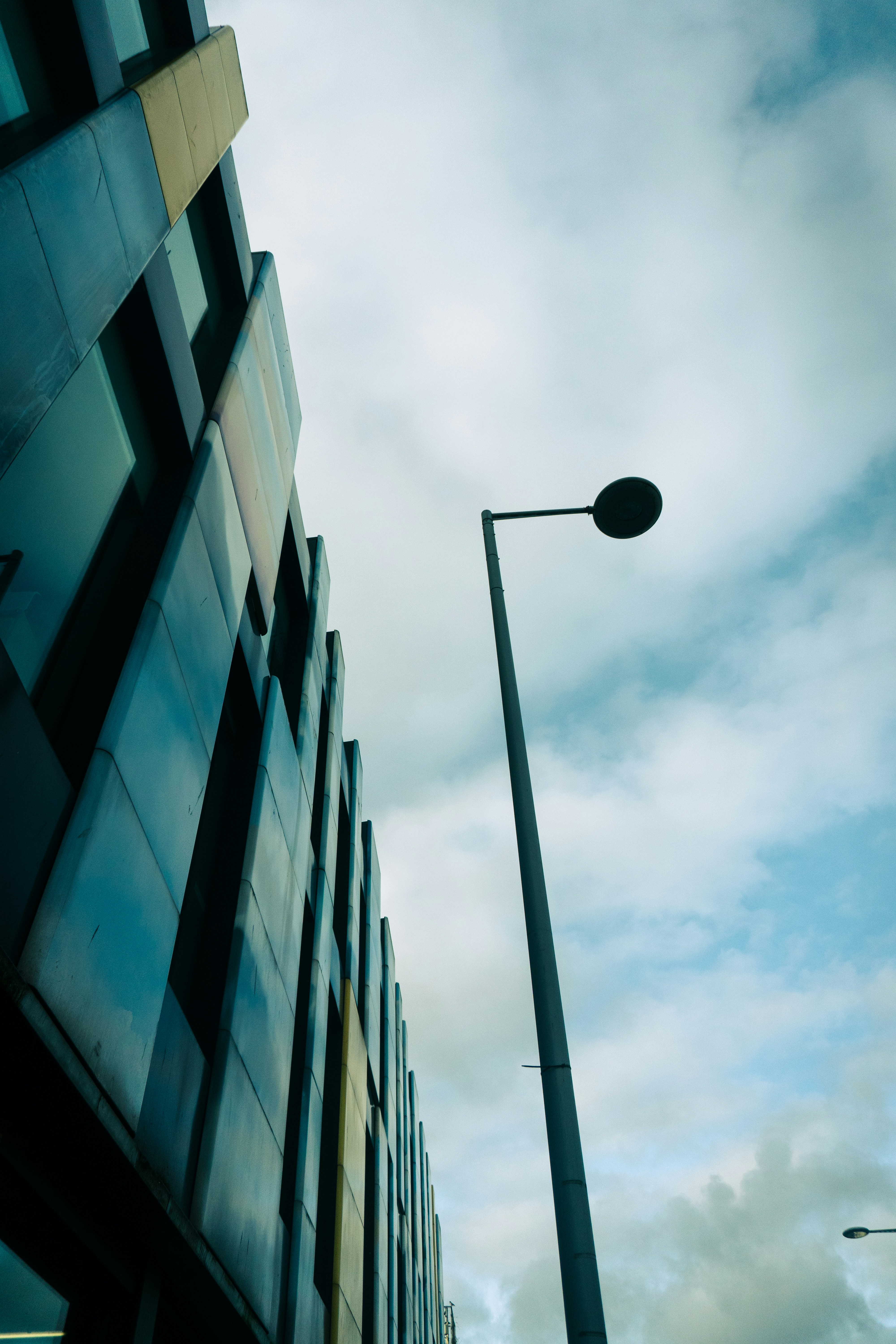 Signs You Need Professional Pest Control