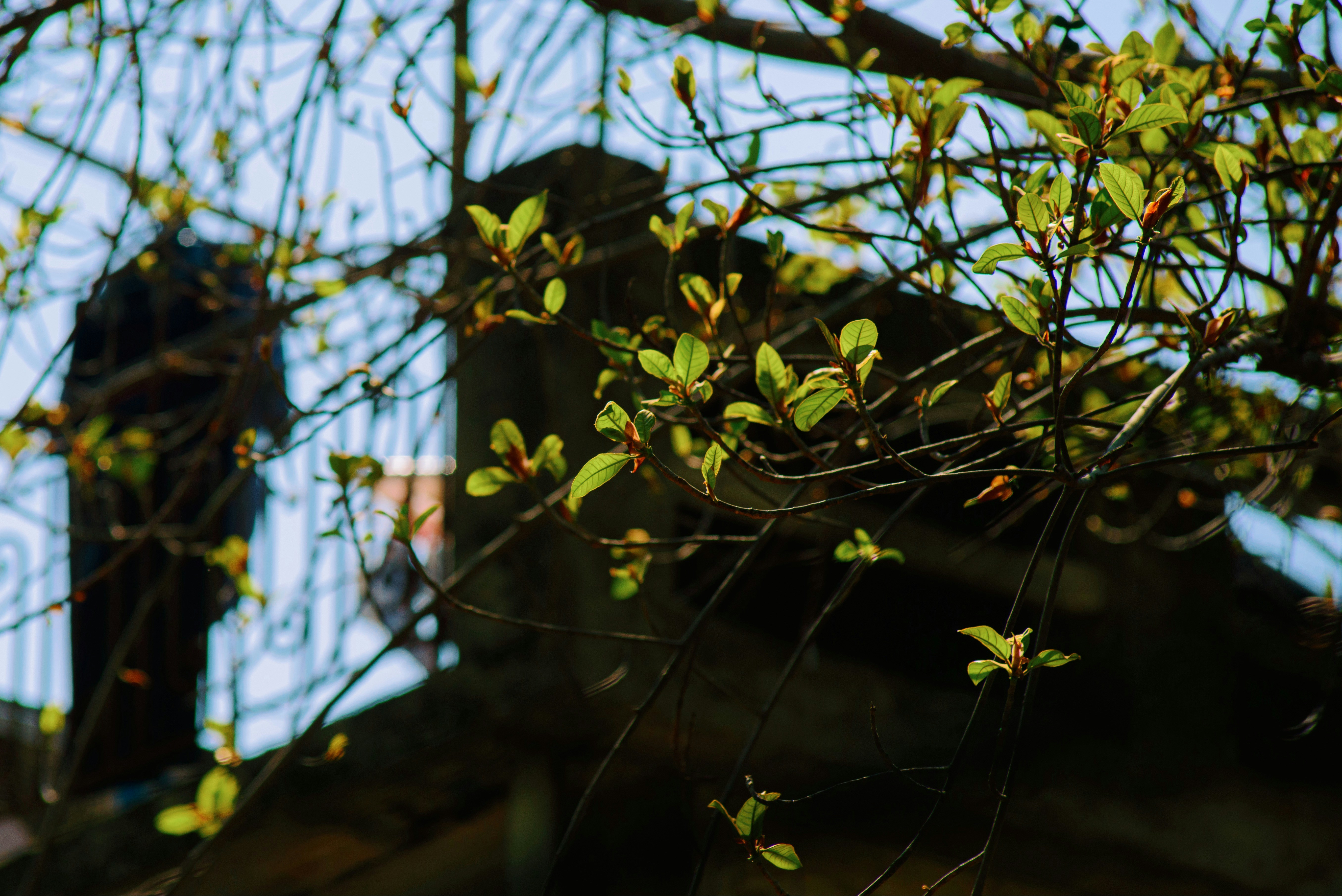 Photo by magicaleye7