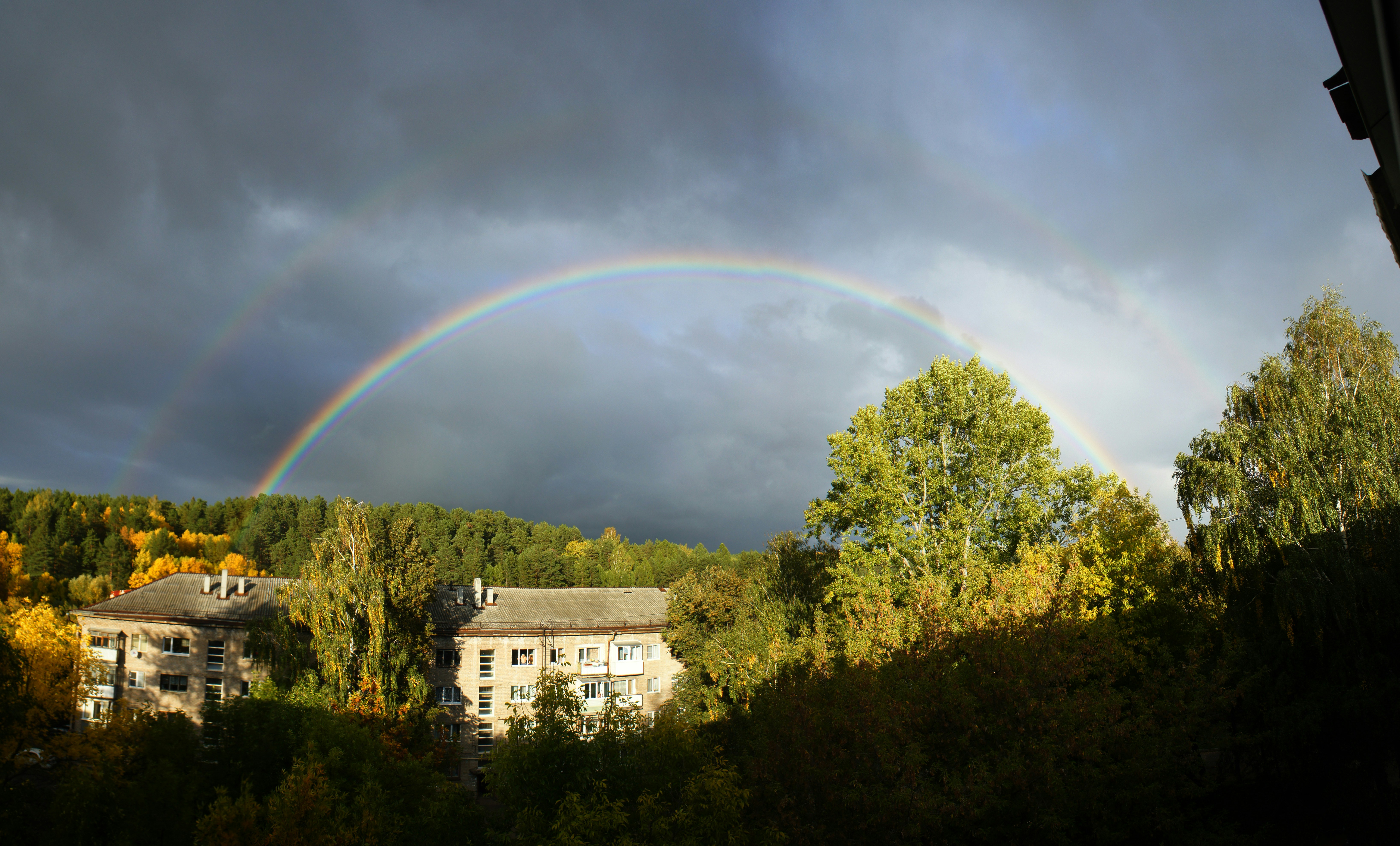 Photo by borbus