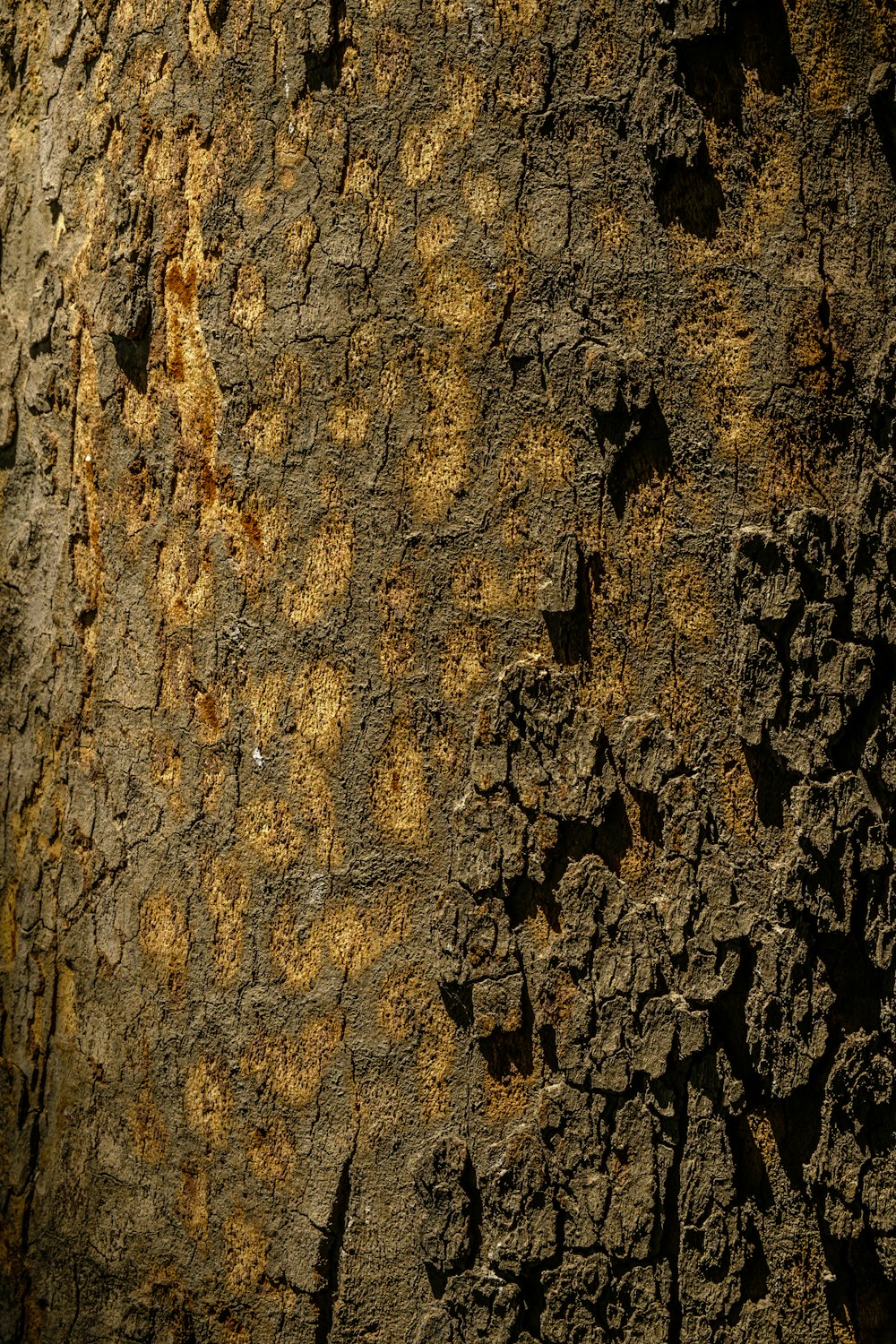 a close up of a tree trunk with brown paint on it