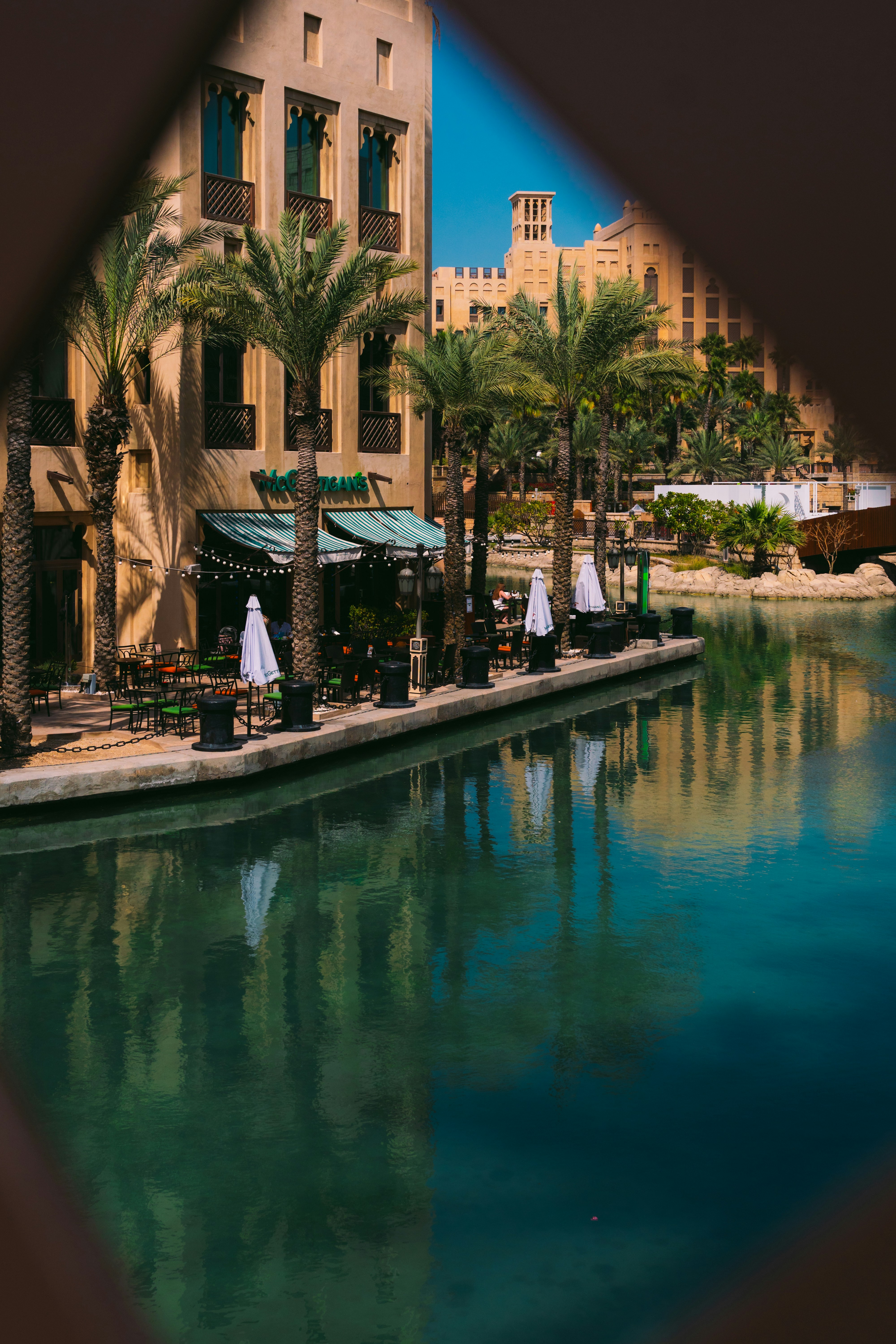 a large body of water surrounded by palm trees