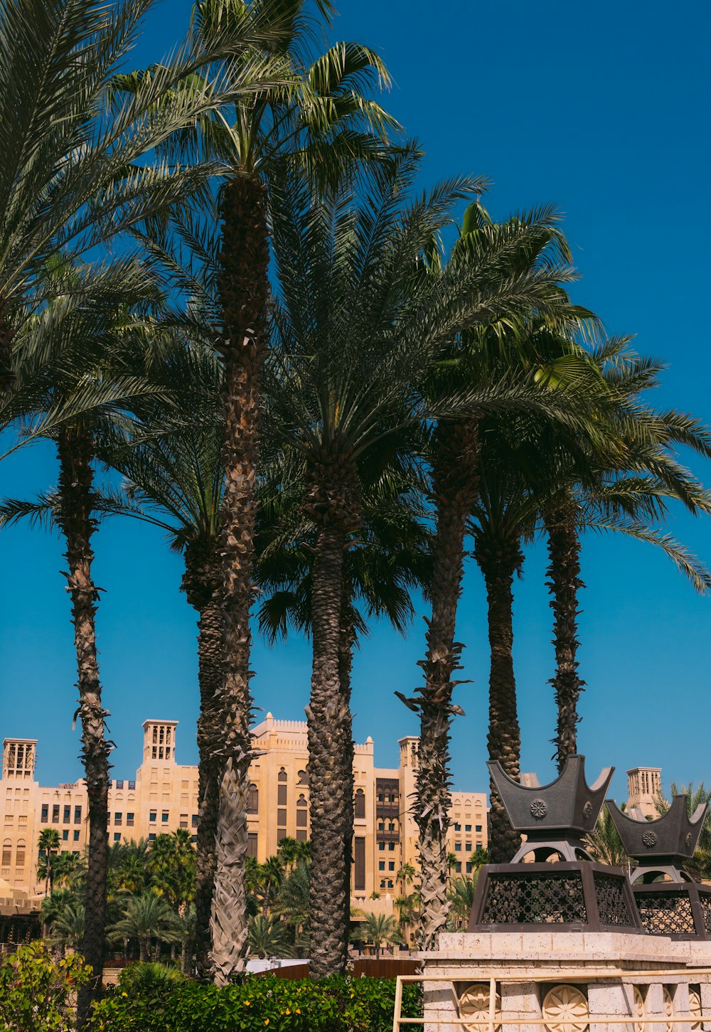 a bench sitting between two palm trees in front of a building