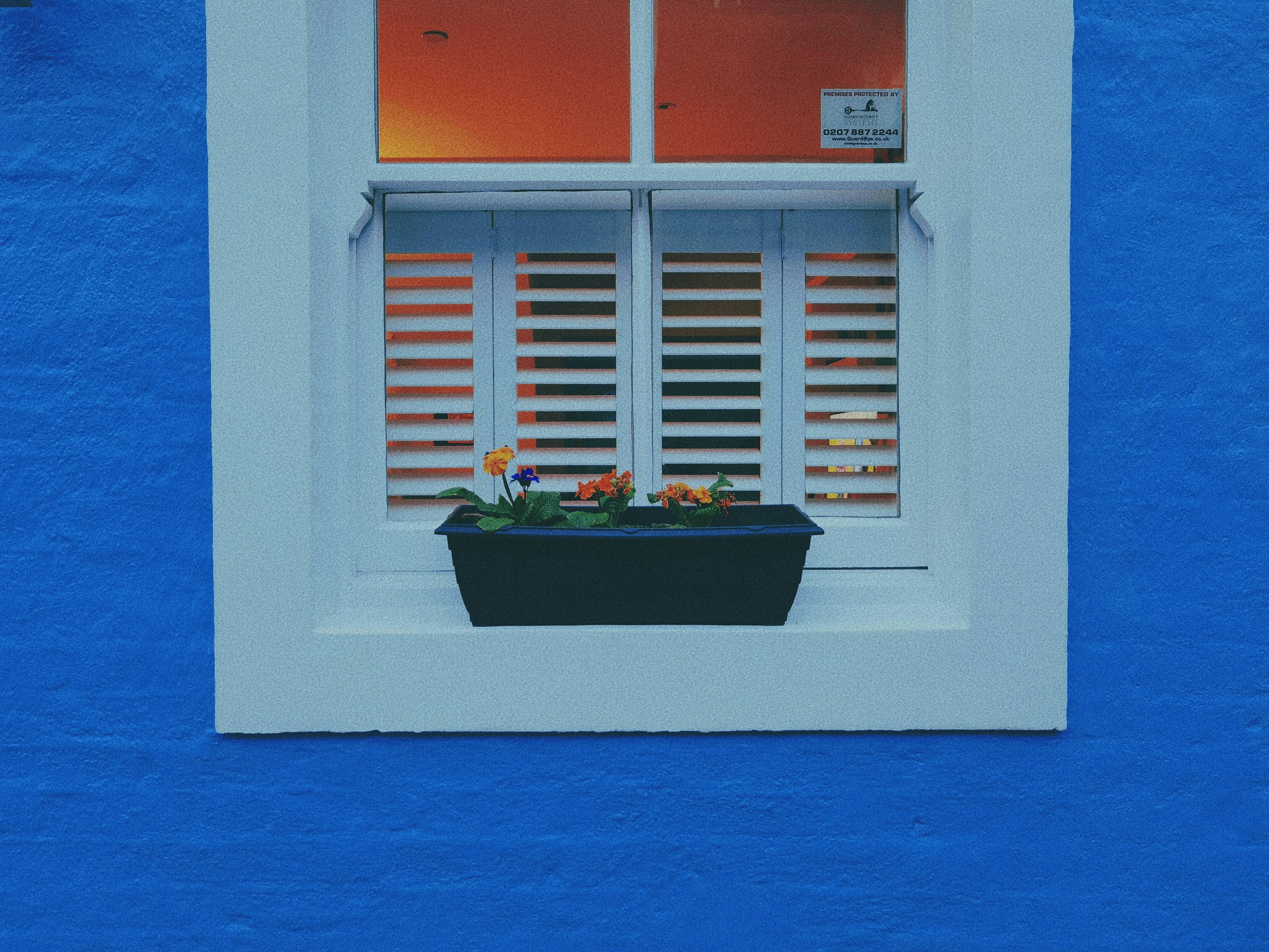 Photo by chrisyc